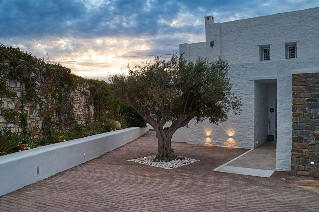 Villa Grand Reve Paros *
