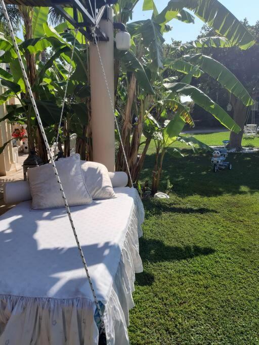 In Paradise