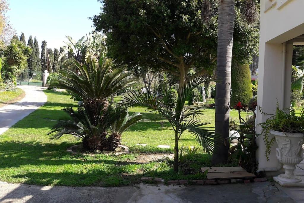 In Paradise Ziparion