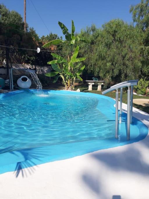 In Paradise Ziparion