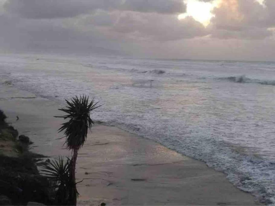 Sandy Toes And Salty Noses House Paradise