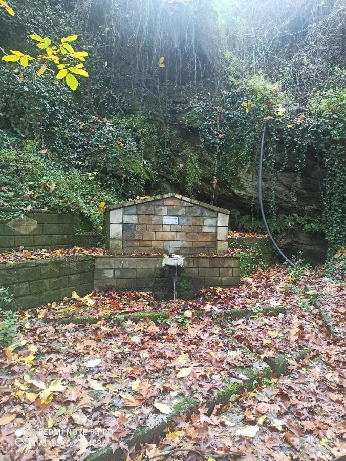 Forestrock For Sale Too Holiday home *