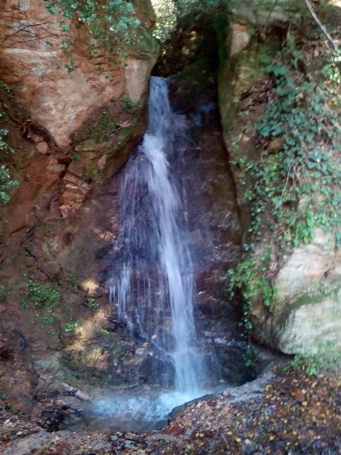 Forestrock For Sale Too Holiday home Sparta