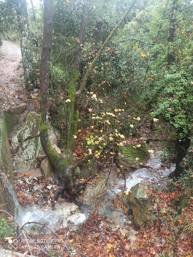 Forestrock For Sale Too Holiday home