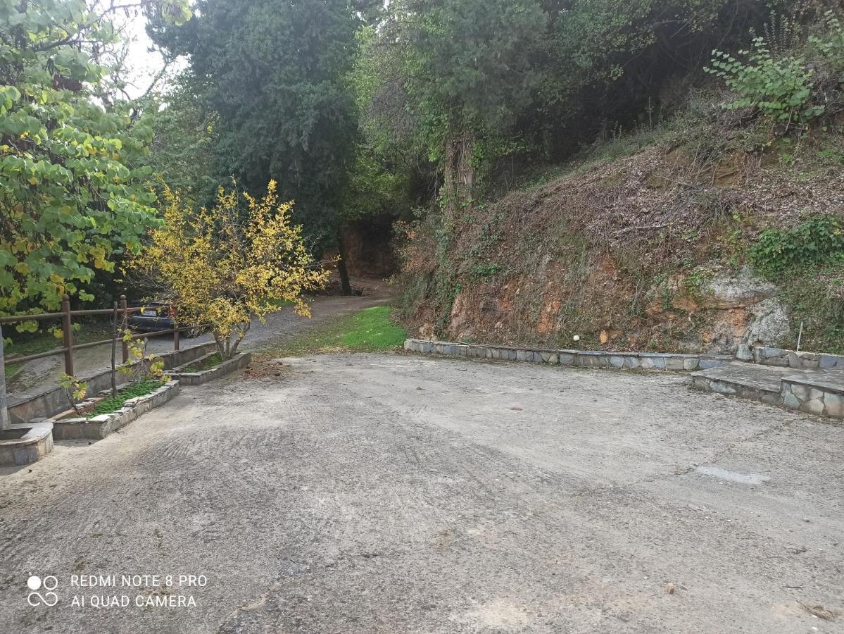 Forestrock For Sale Too Holiday home Sparta