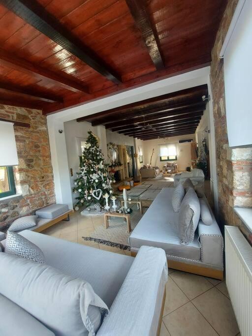 Villa Dimitra's In Evia, Greece Loukissia