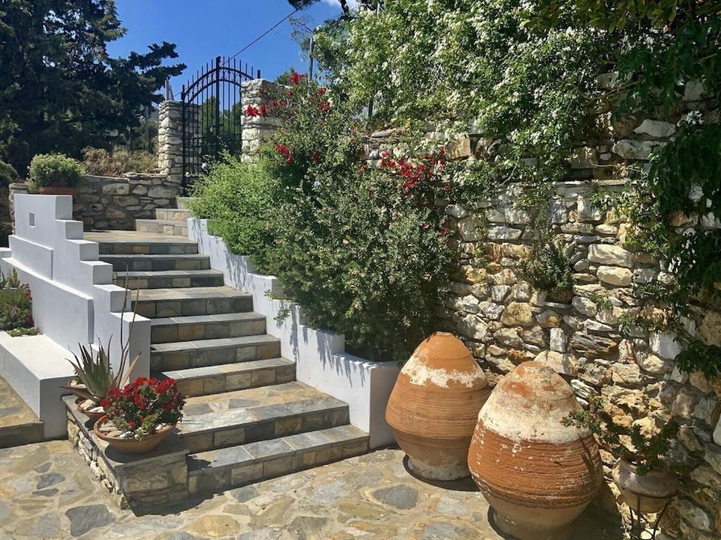 Tassos Seafront House Holiday home *