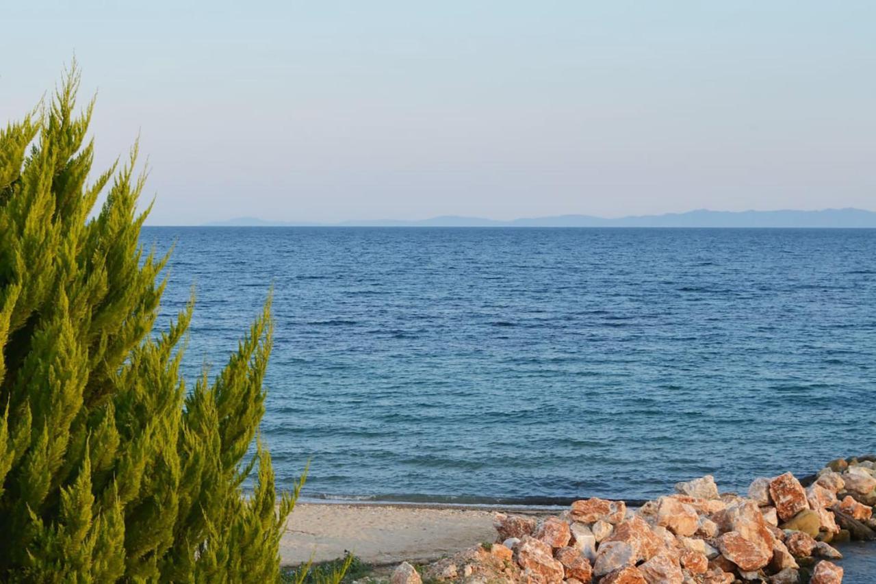 Lemon Front Apartment, * Nikiti (Sithonia)
