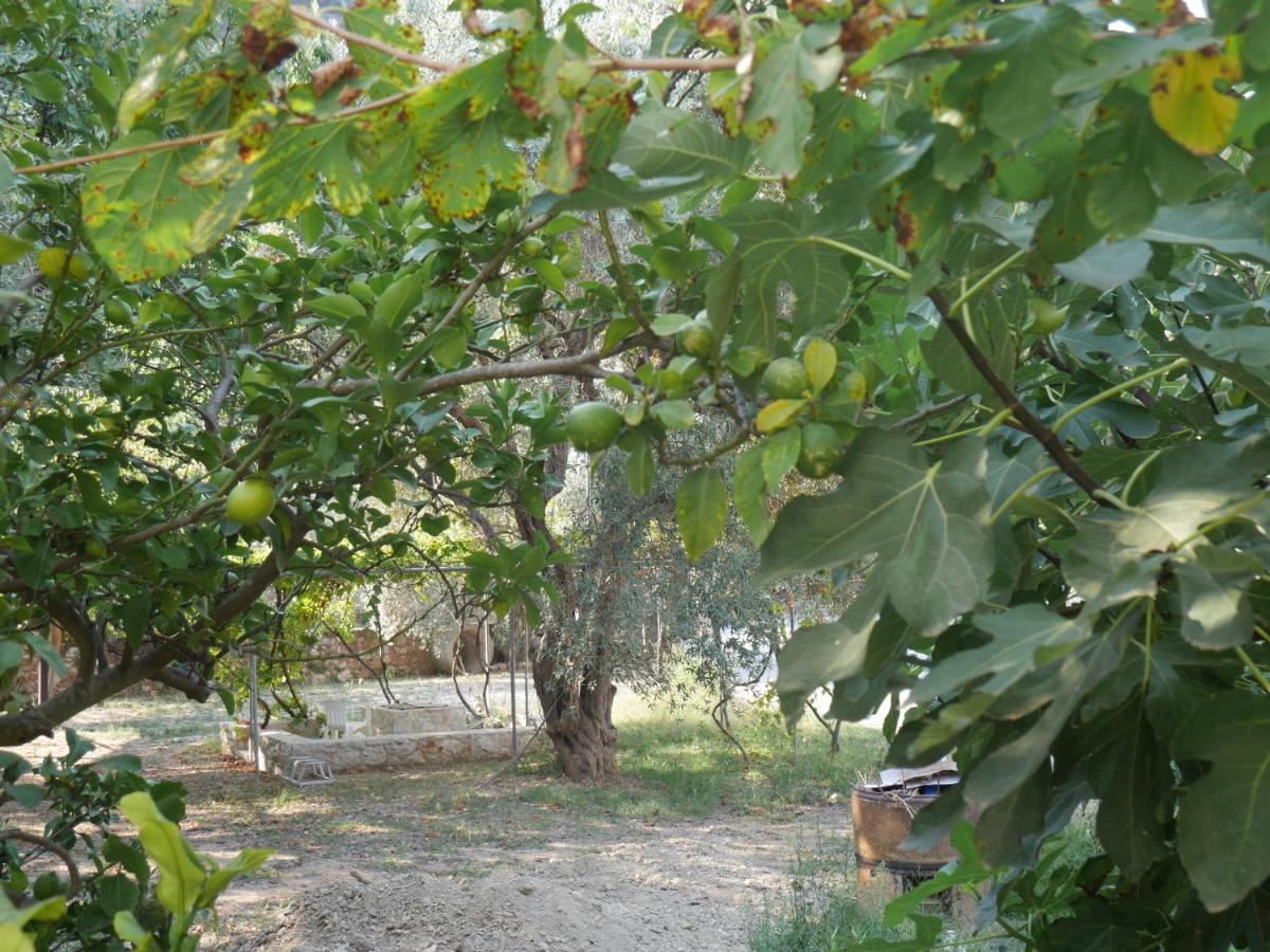 Apartment O Pyrgos Panormos (Skopelos)