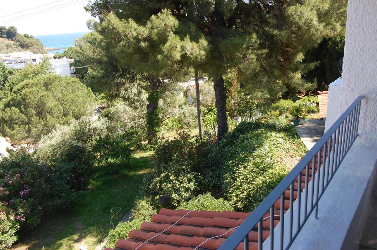 Pine Holiday home