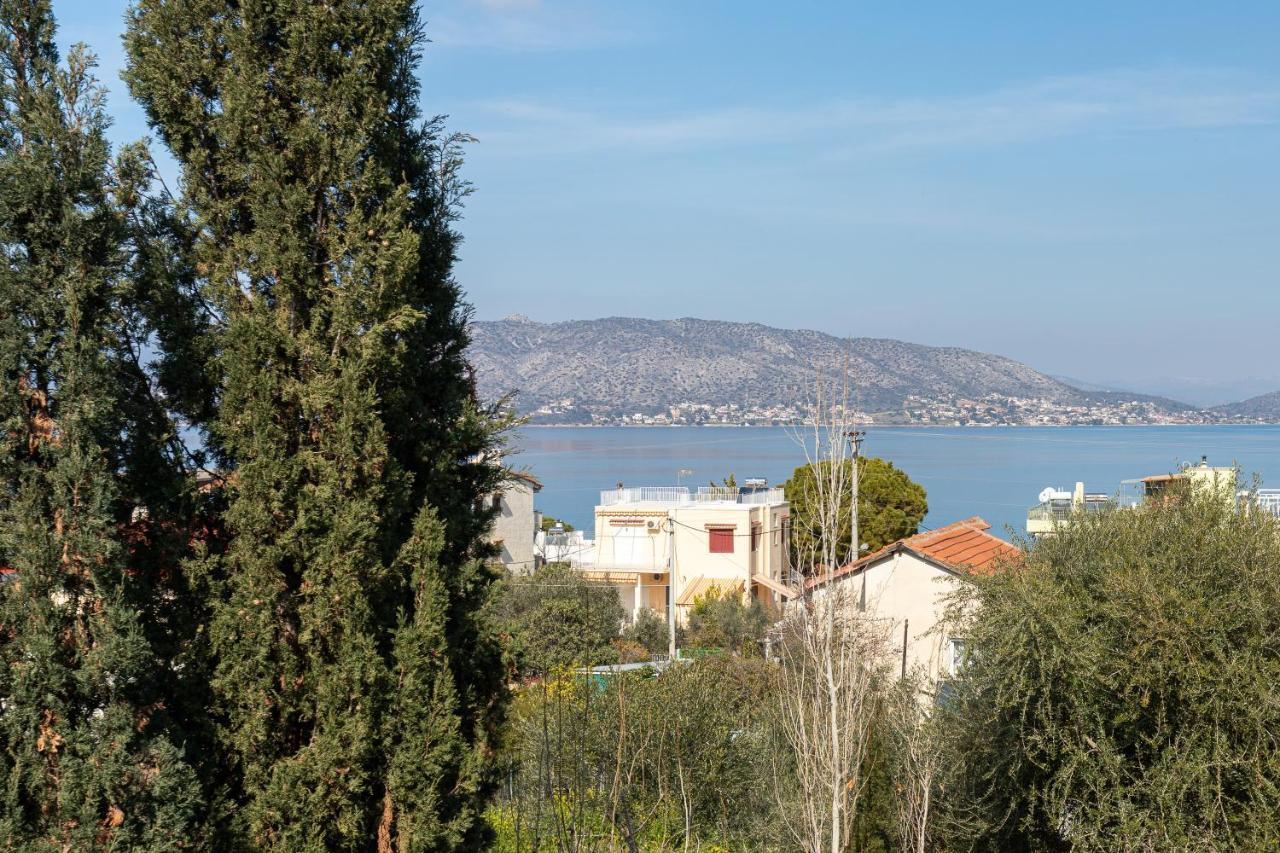 Golden Seaside House Number 1 Villa Aianteio (Salamis)