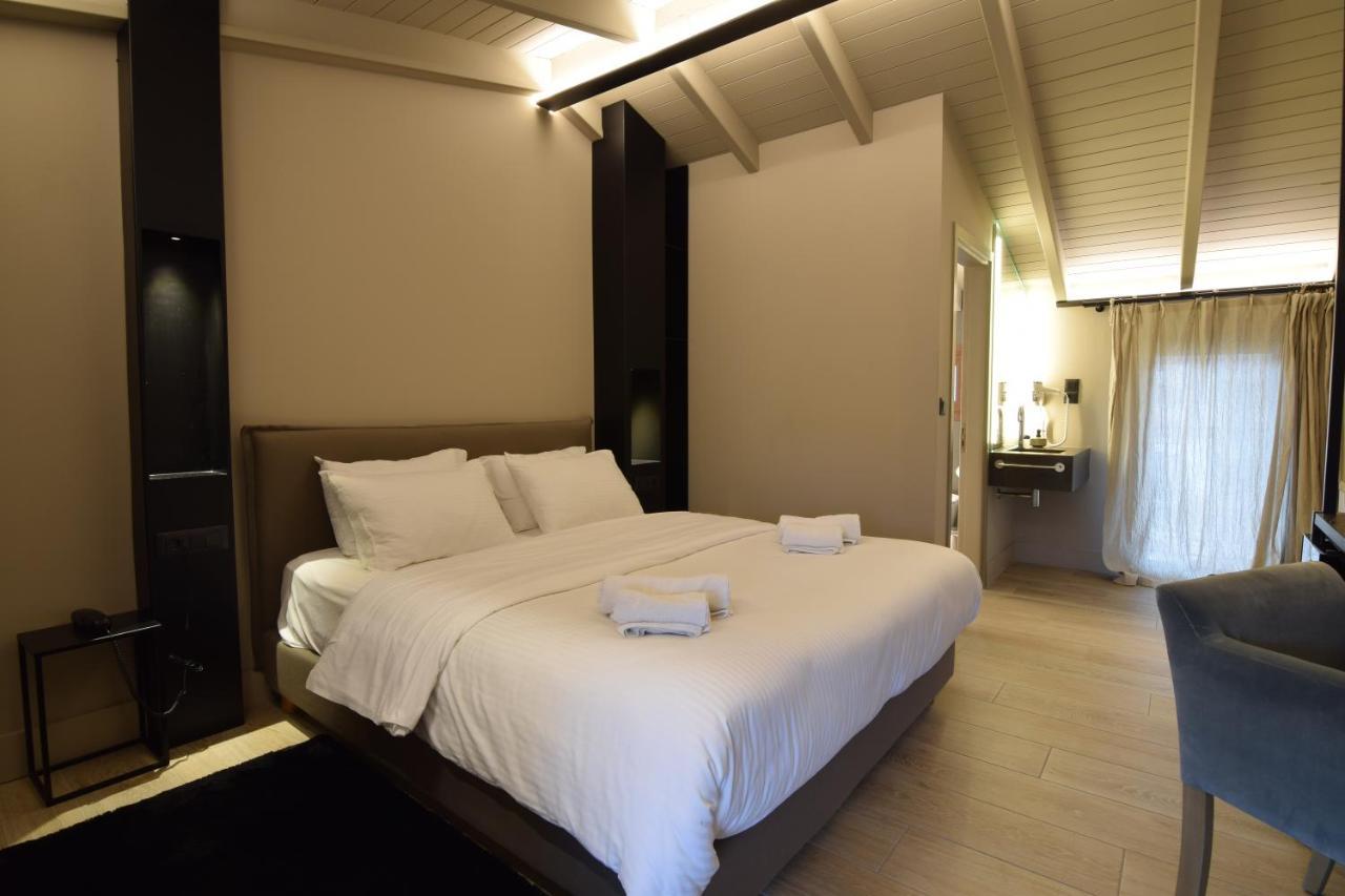 Hotel Anesis