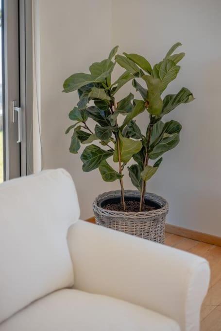 Casa Riza - Authentic Cretan Hospitality