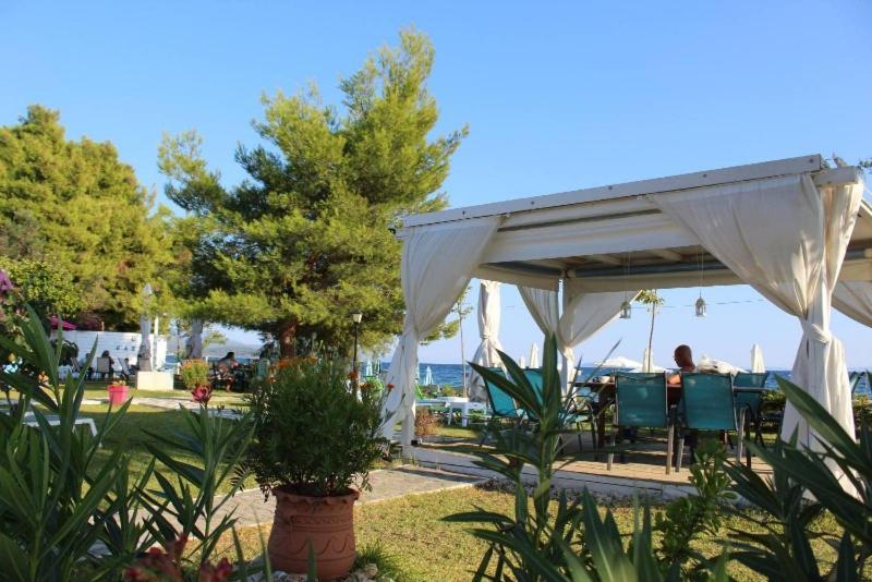 Maras Marinas Open All Year * Nikiti (Sithonia)