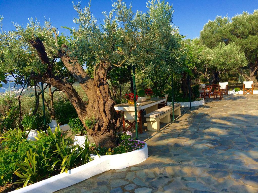 Villa Rania Skiathos Town