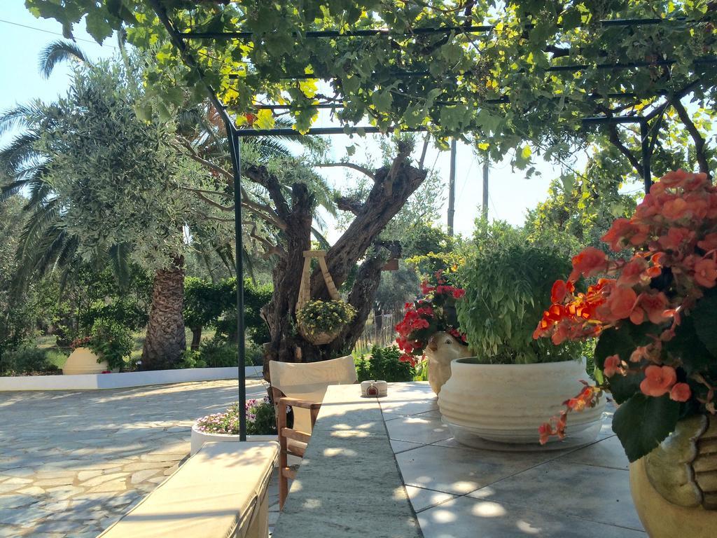 Guest house Villa Rania *