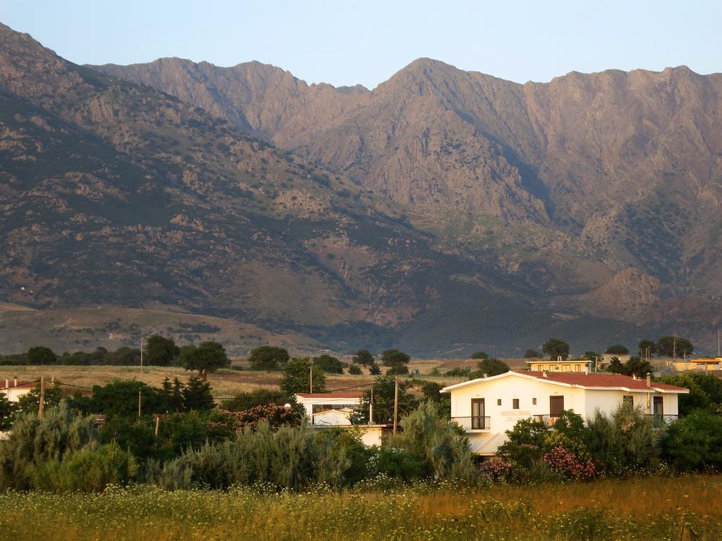 Thanasis Matsas Kamariotissa