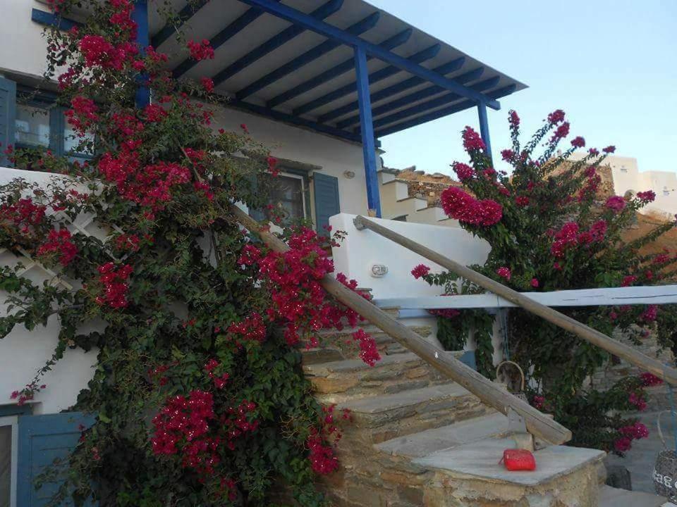 Villa Sophie 2