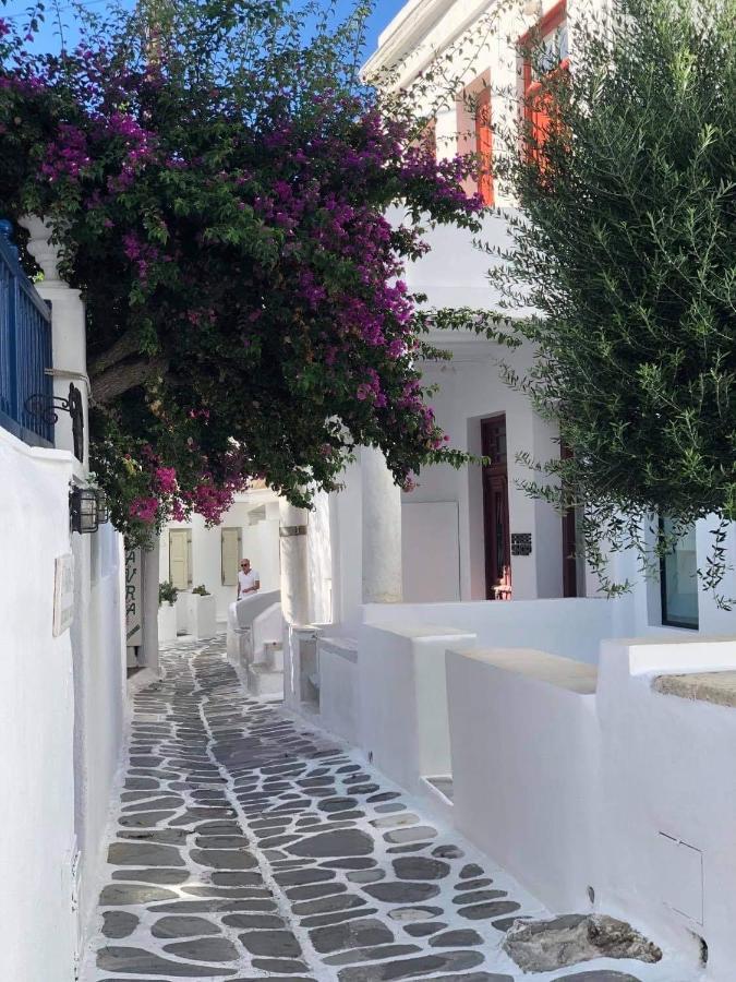 Hidden Serenity Apartment Mykonos Town