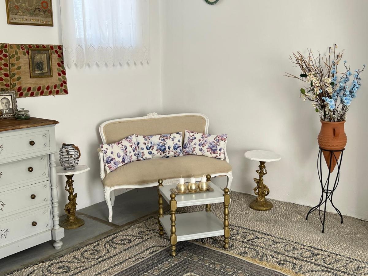 Traditional Sofia Villa *