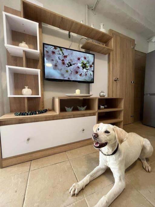 Kareshome-privacy-view Apartment *