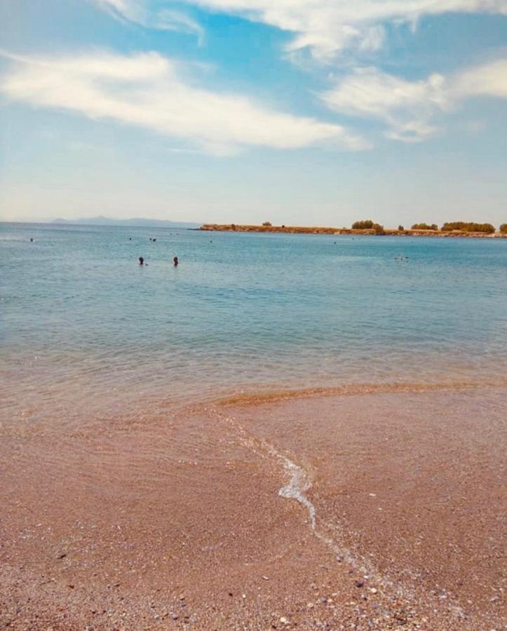 Modern In Glyfada A Breath Away From The Sea - The View Apartment *