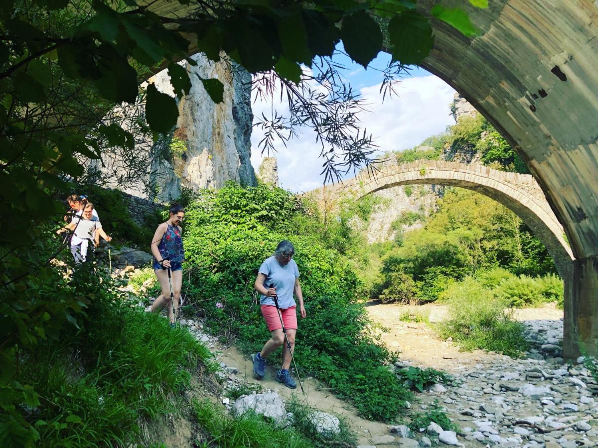 Katikia Zagori Vitsa