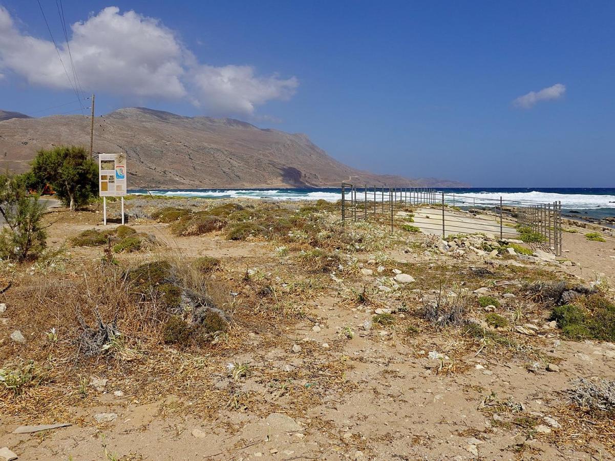 Farm stay Cornelia Hippie Magic Bus Kissamos