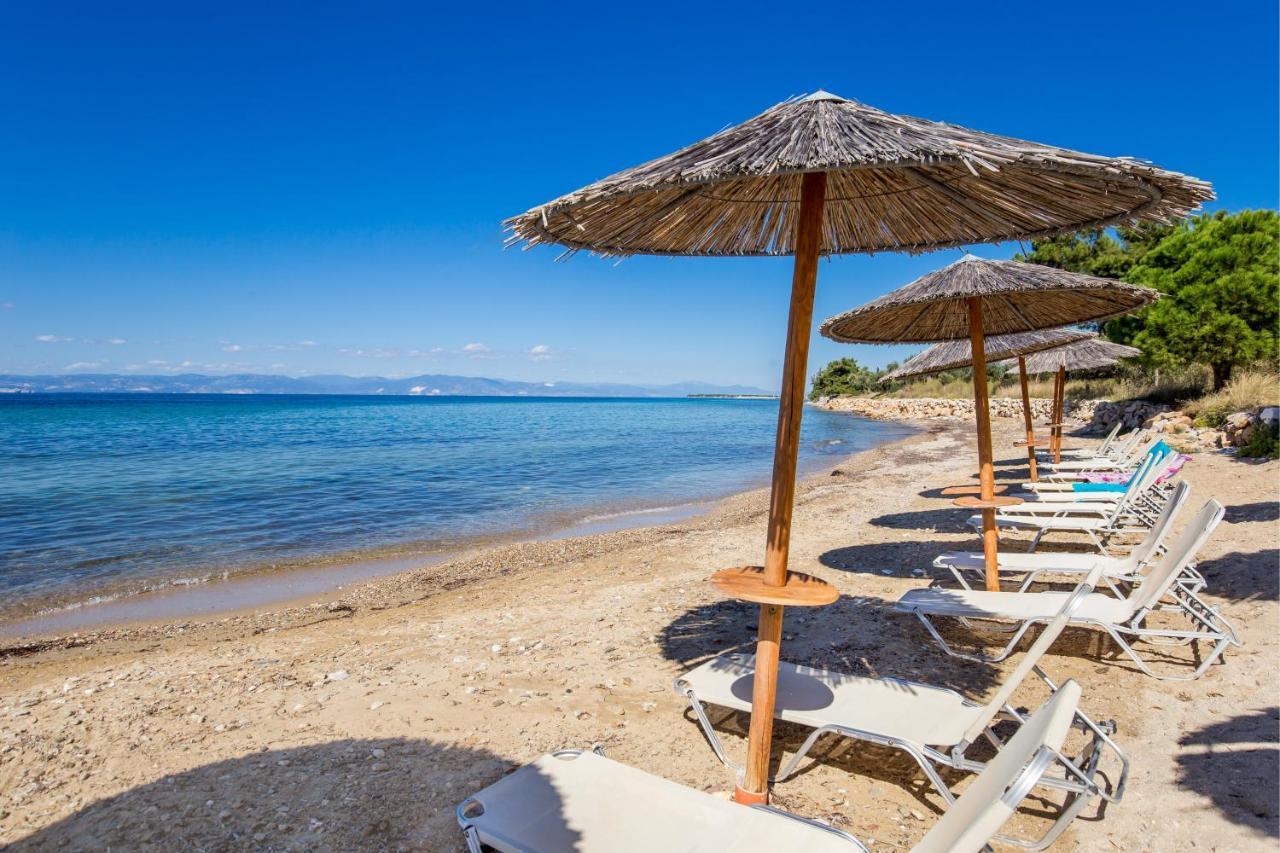 Marti Resort
