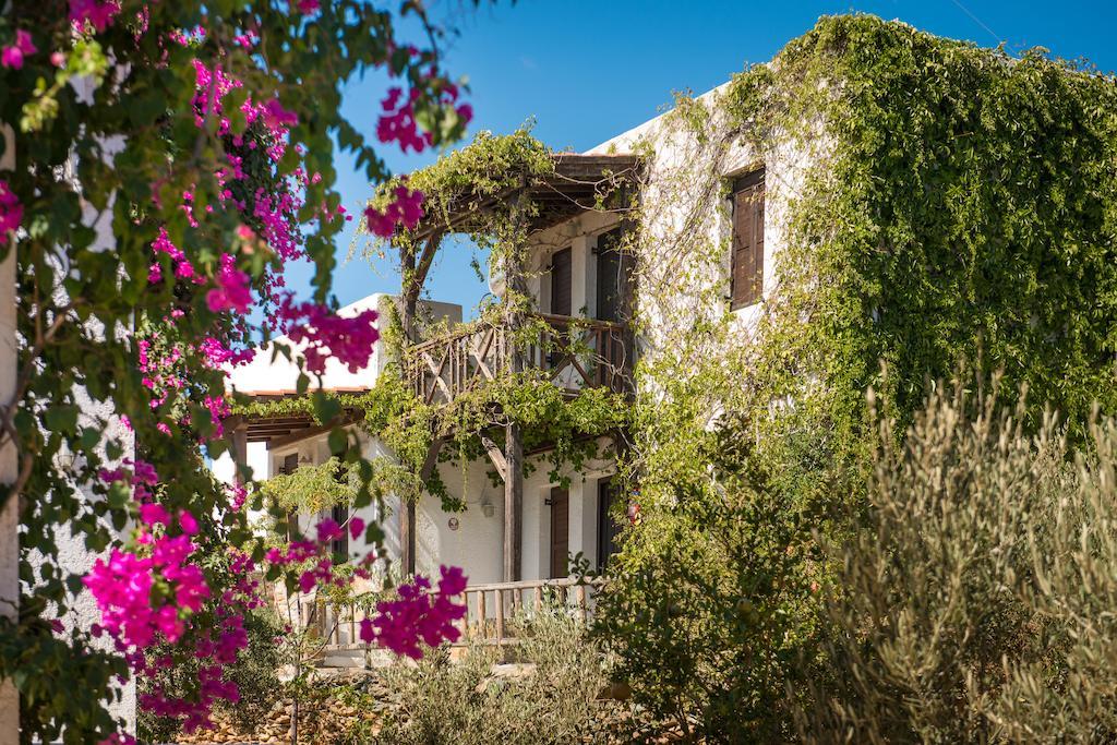 Ambelos 3* Agia Pelagia (Crete)