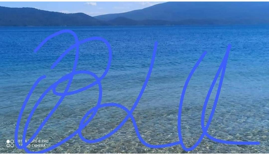 Blu Glifa (Stylida)