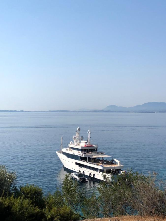 Vladimiros