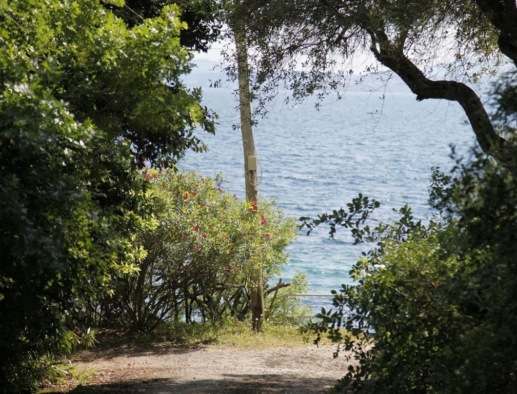 Rex - A Little Piece Of Heaven! Villa *