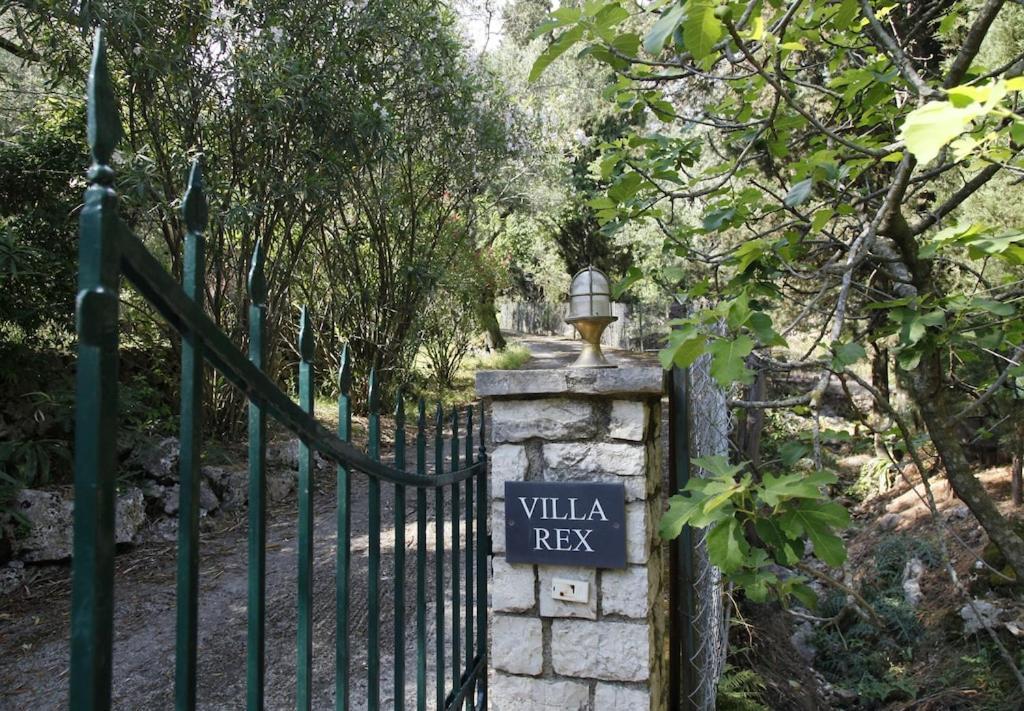 Rex - A Little Piece Of Heaven! * Nisaki (Corfu)