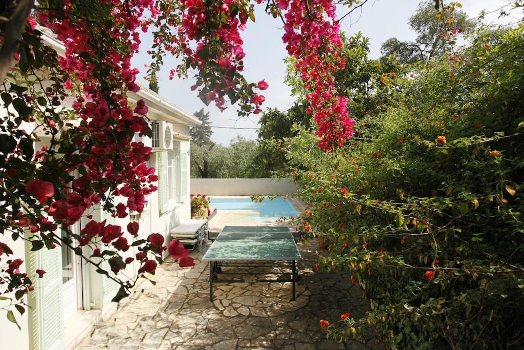 Rex - A Little Piece Of Heaven! Villa