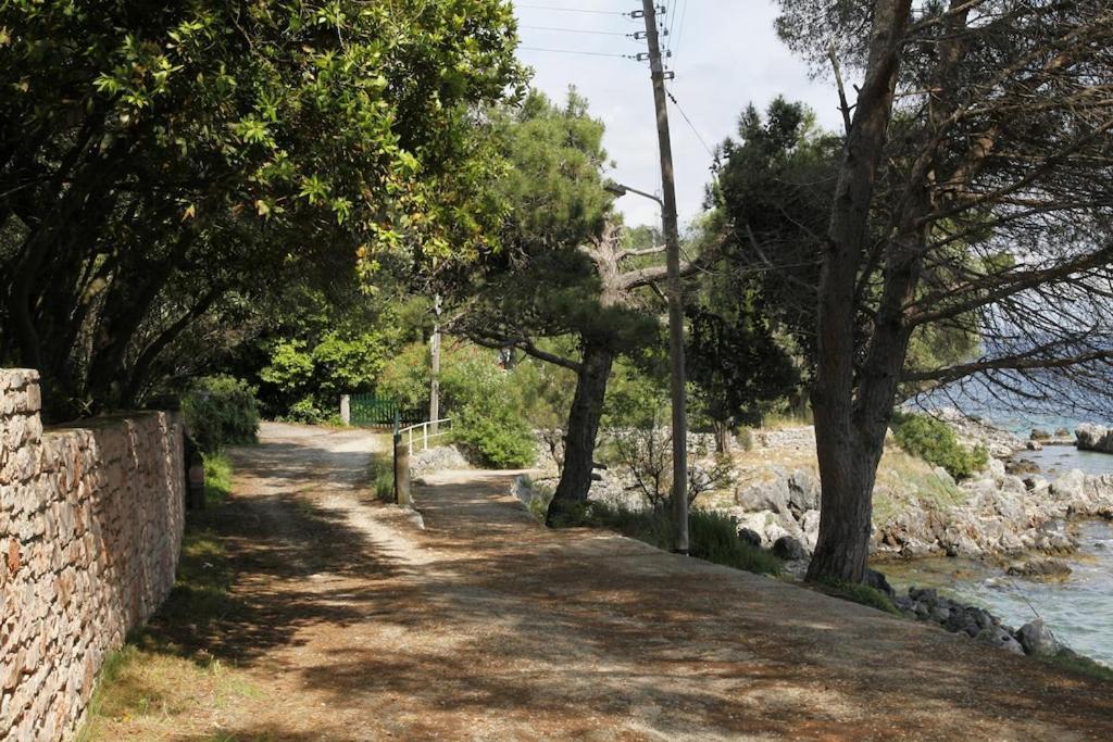 Rex - A Little Piece Of Heaven! Villa Nisaki (Corfu)