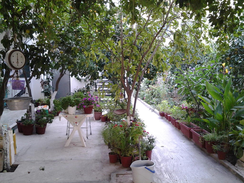 Maro Apartment *