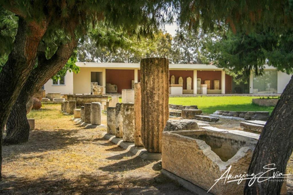 Villa Seaside Andronikos Amarynthos