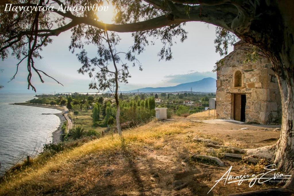 Villa Seaside Andronikos