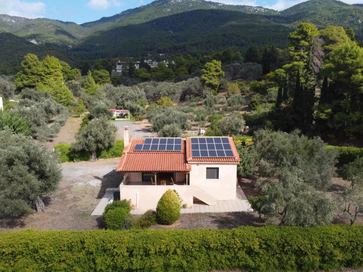 Holiday home House - με μεγάλο κήπο *
