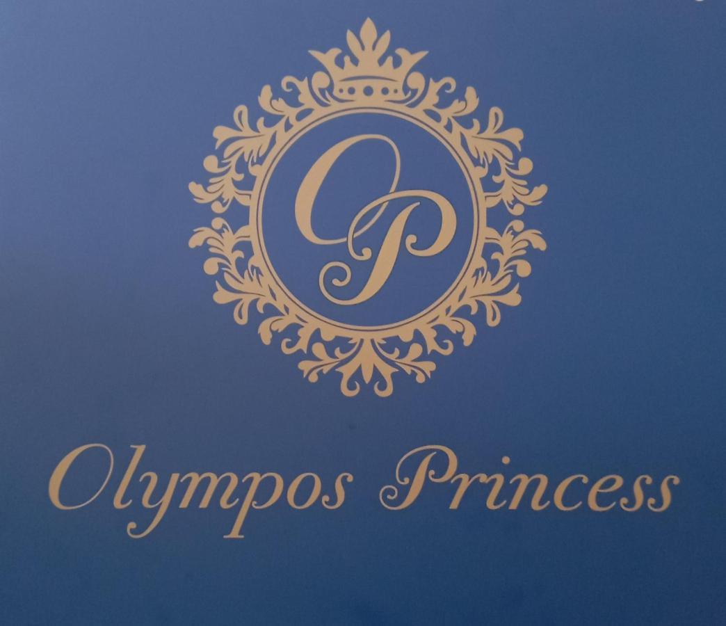 Villa Princess Olympos (Karpathos)