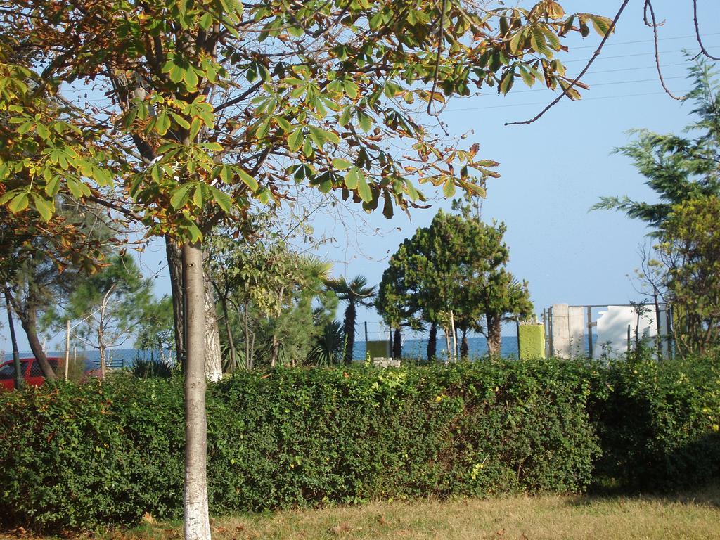 Four Seasons 2 Paralia Katerinis