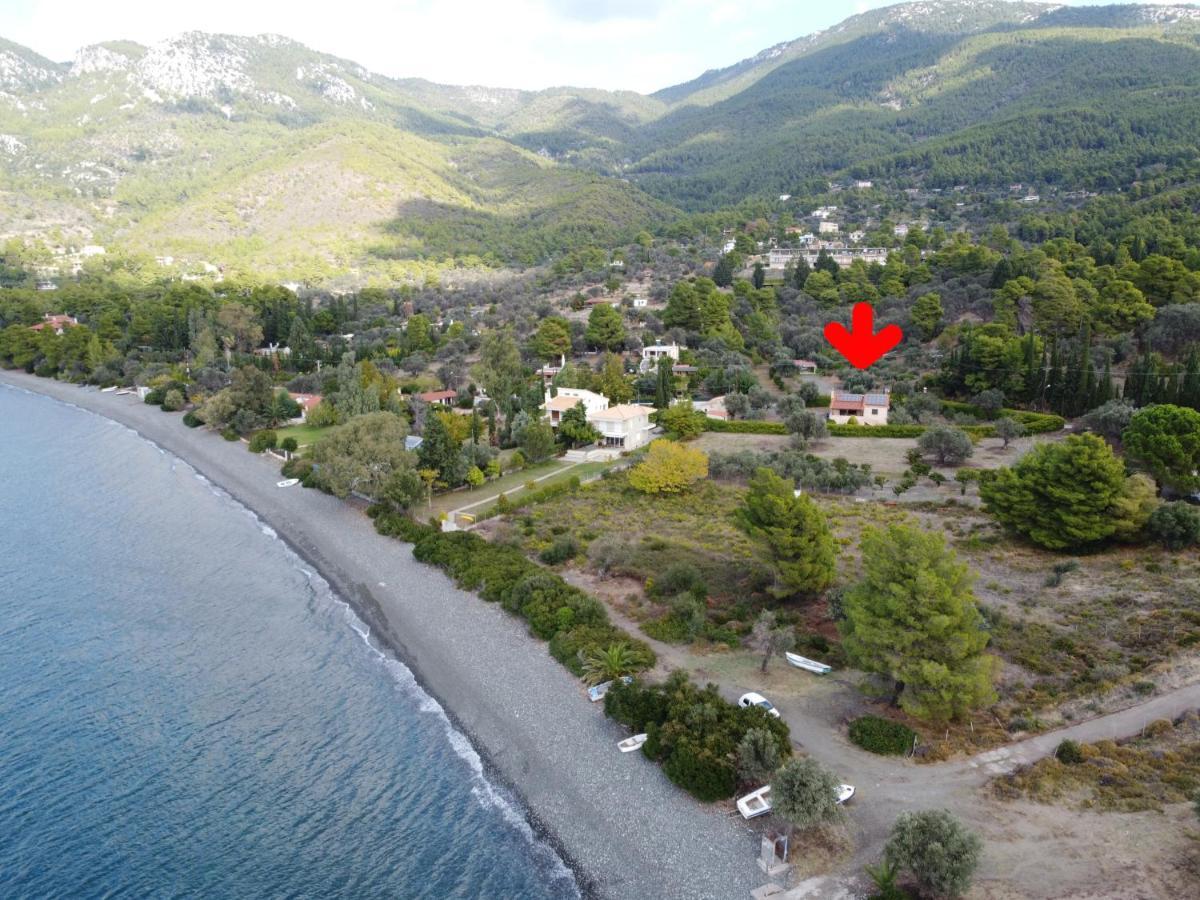 House - με μεγάλο κήπο