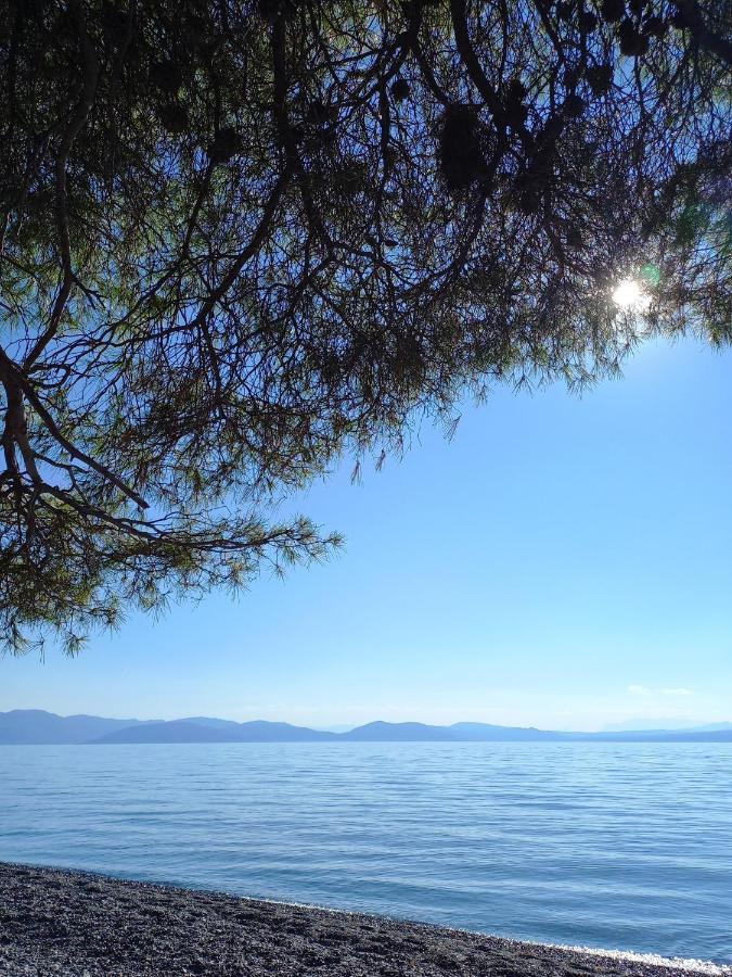 House - με μεγάλο κήπο Holiday home