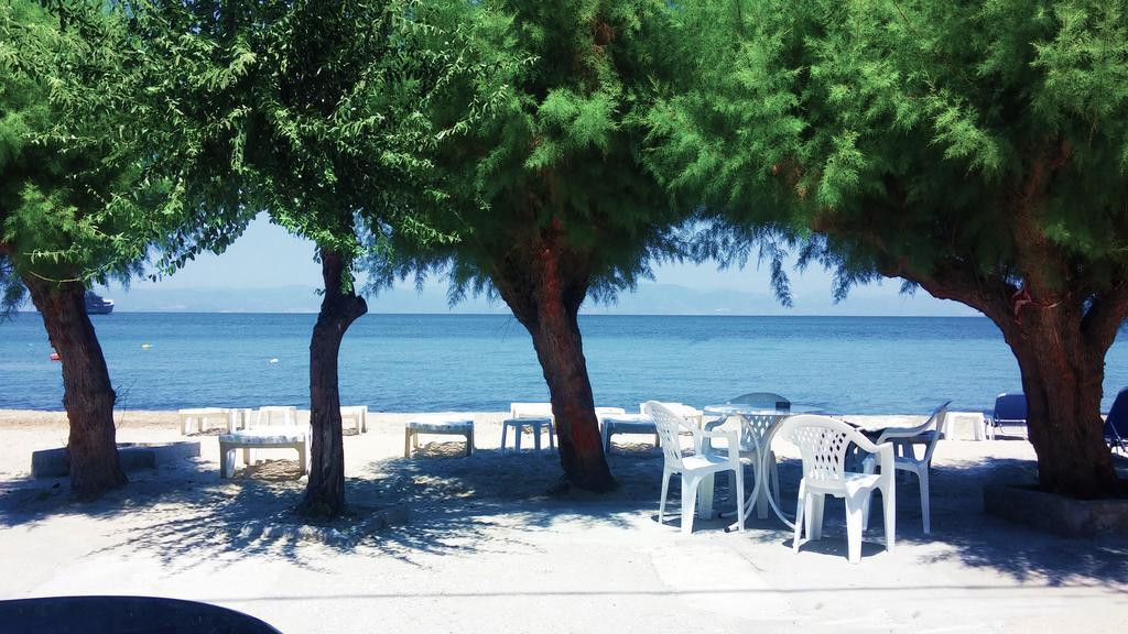 Guest house Malimi