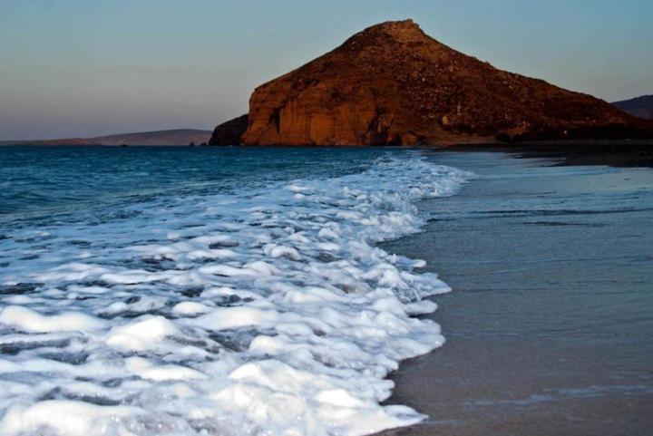 Surf *