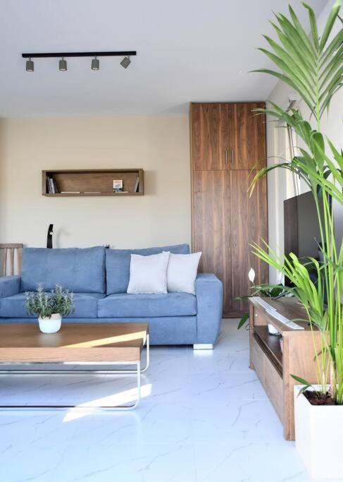 Apartment Spacious & Minimal Near Airport Peania Coniann Filoxenia