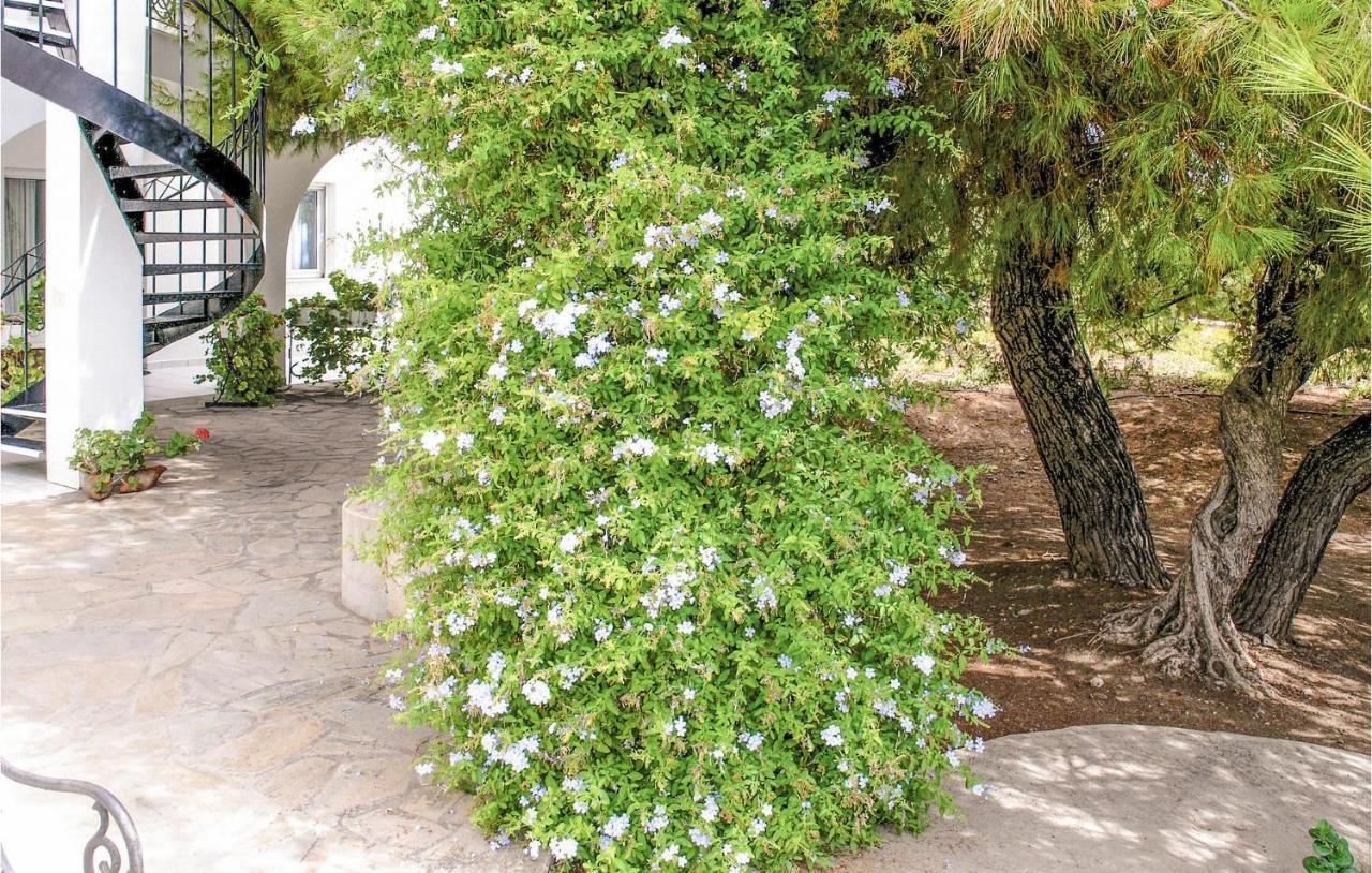 Soleiliosonne Haus Zeus Apartment Ermioni