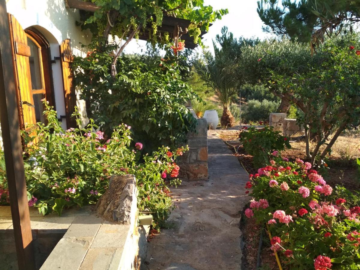 Porto Heli Apartment Palekastro