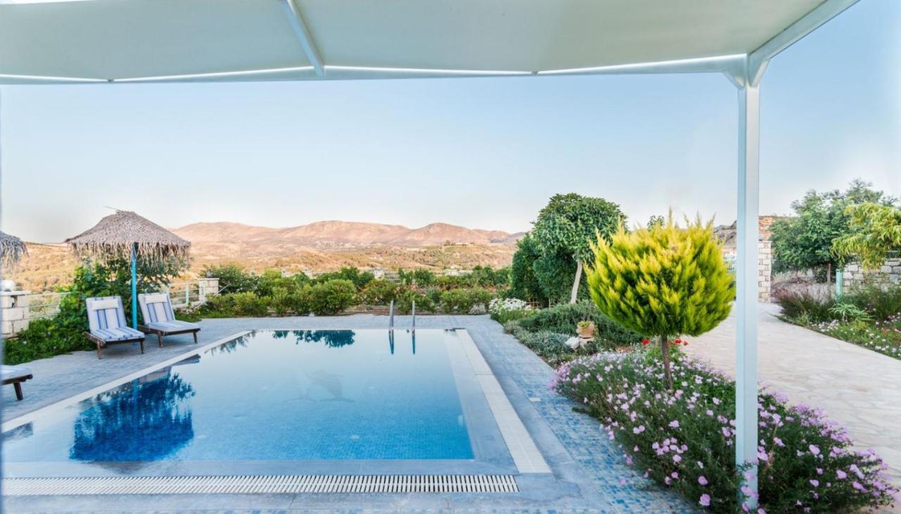 Villa Zeus's Daughtes Pitsidia